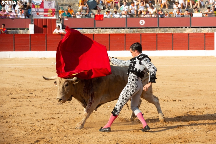 Toros en El Burgo 2025