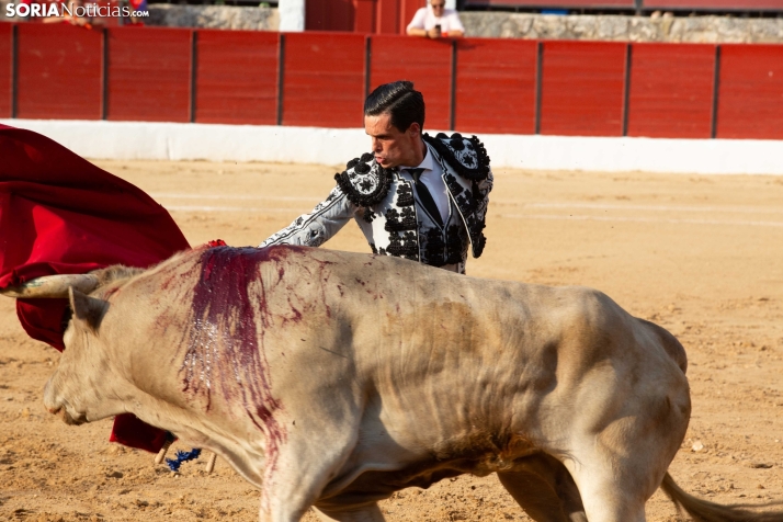 Toros en El Burgo 2025