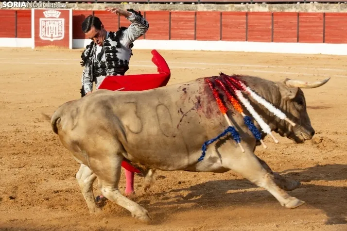 Toros en El Burgo 2025