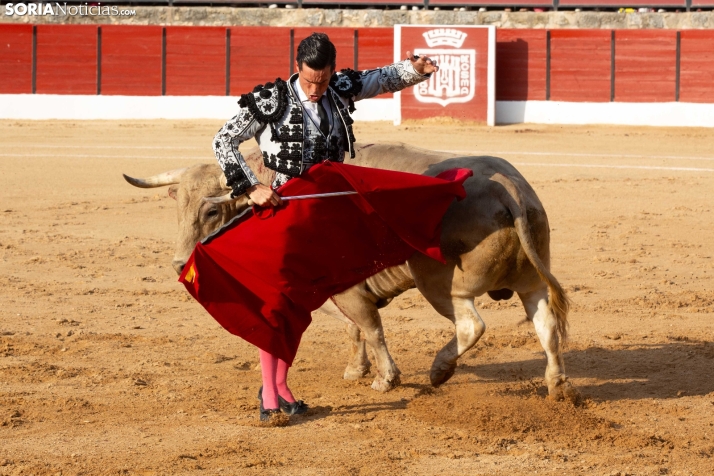 Toros en El Burgo 2025