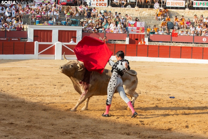 Toros en El Burgo 2025