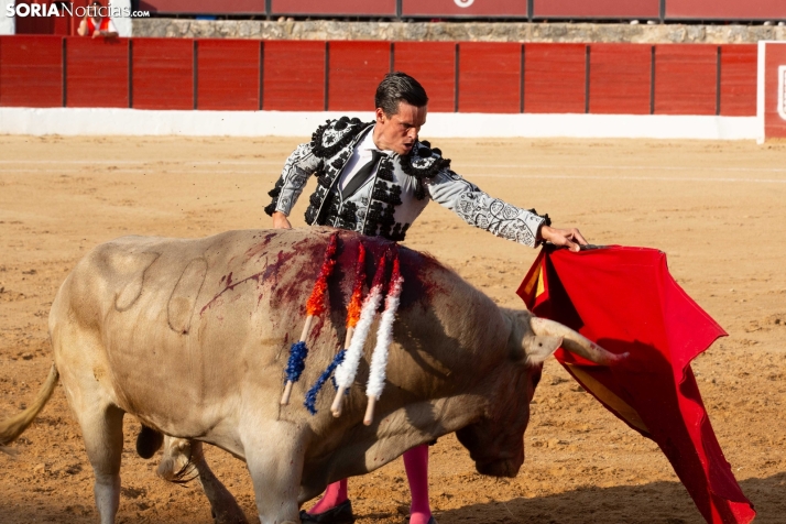 Toros en El Burgo 2025