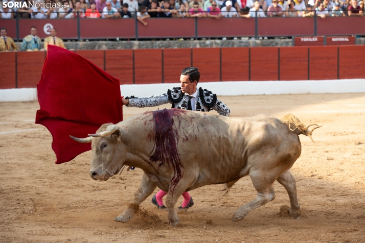 Toros en El Burgo 2025