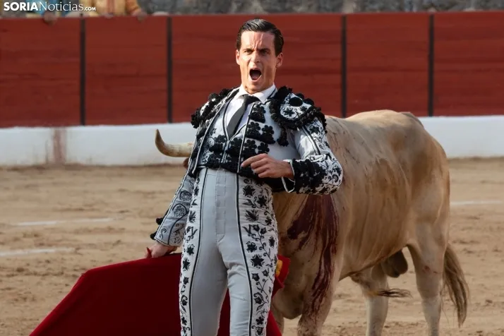 Toros en El Burgo 2025