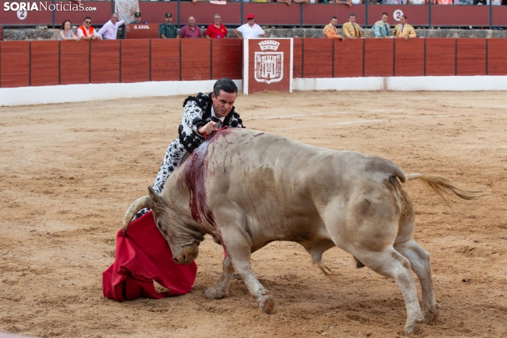 Toros en El Burgo 2025