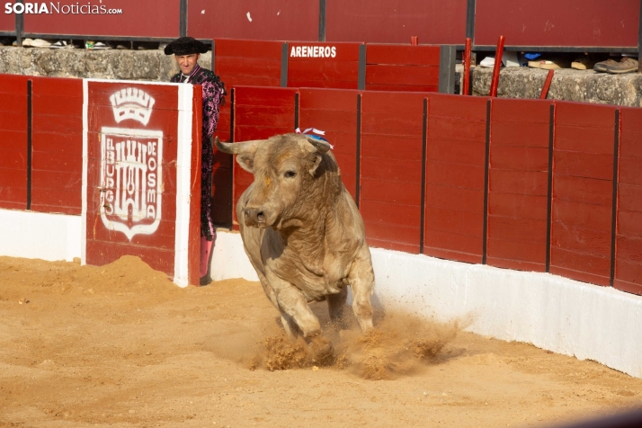 Toros en El Burgo 2025