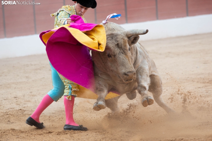 Toros en El Burgo 2025