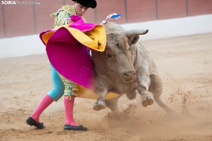 Toros en El Burgo 2025