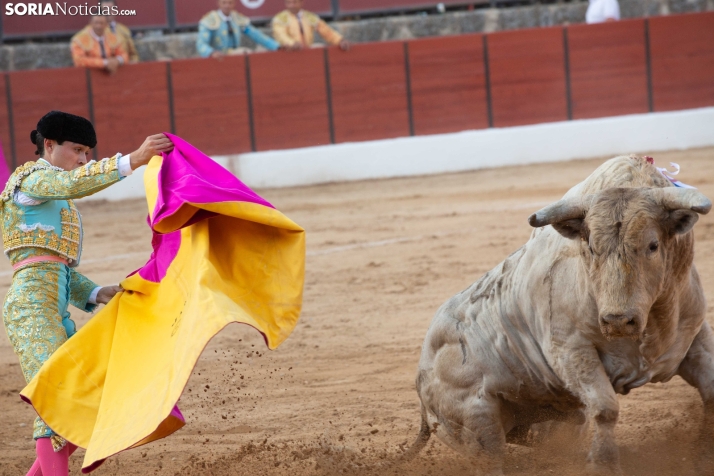 Toros en El Burgo 2025