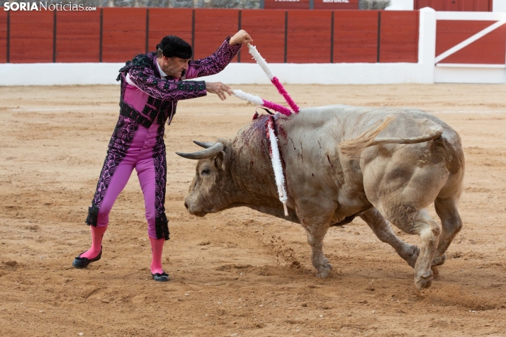 Toros en El Burgo 2025