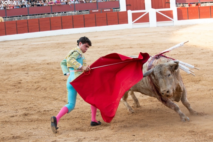 Toros en El Burgo 2025