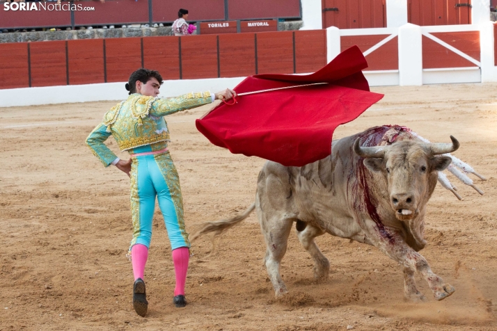 Toros en El Burgo 2025