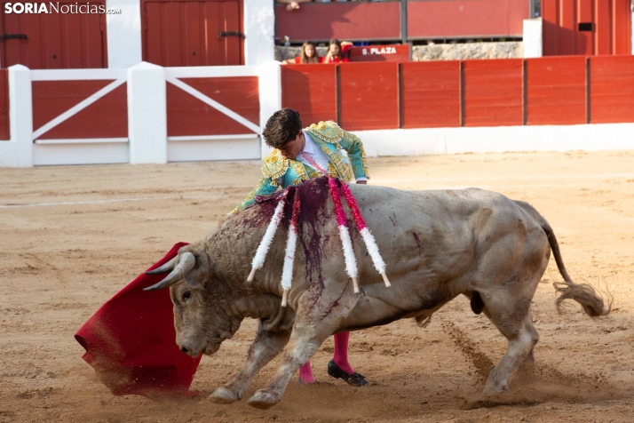 Toros en El Burgo 2025