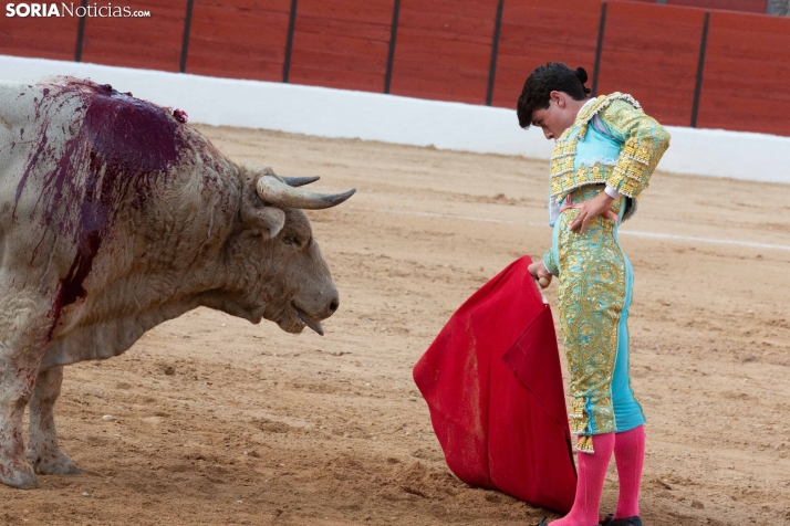 Toros en El Burgo 2025