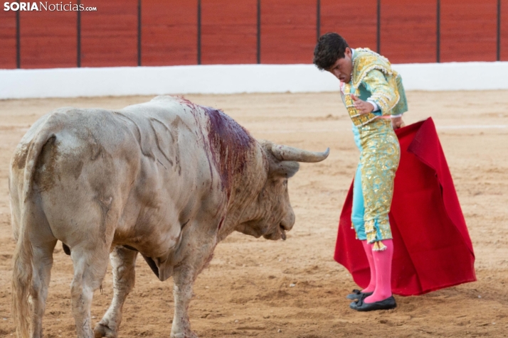 Toros en El Burgo 2025