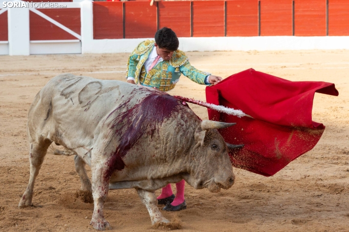 Toros en El Burgo 2025