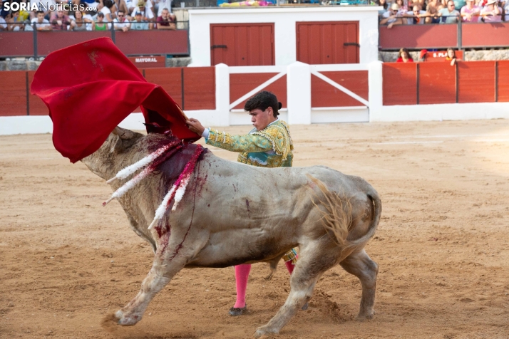 Toros en El Burgo 2025