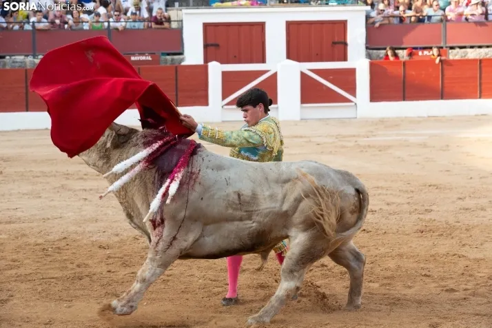 Toros en El Burgo 2025