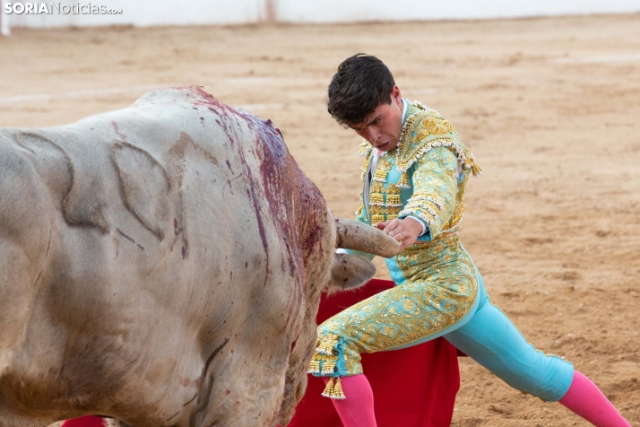 Toros en El Burgo 2025