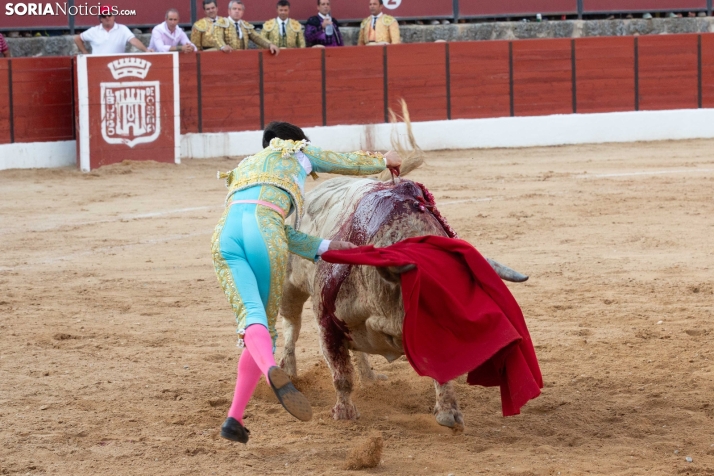 Toros en El Burgo 2025