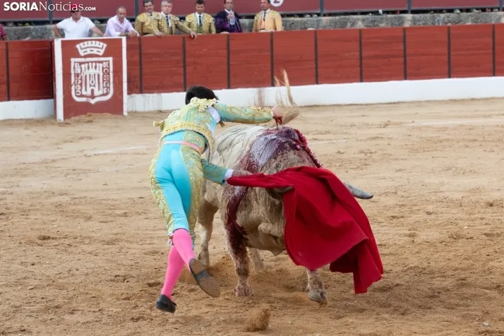 Toros en El Burgo 2025