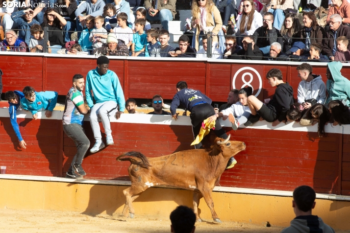 Vaquillas San Saturio