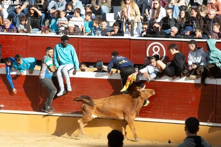 Vaquillas San Saturio