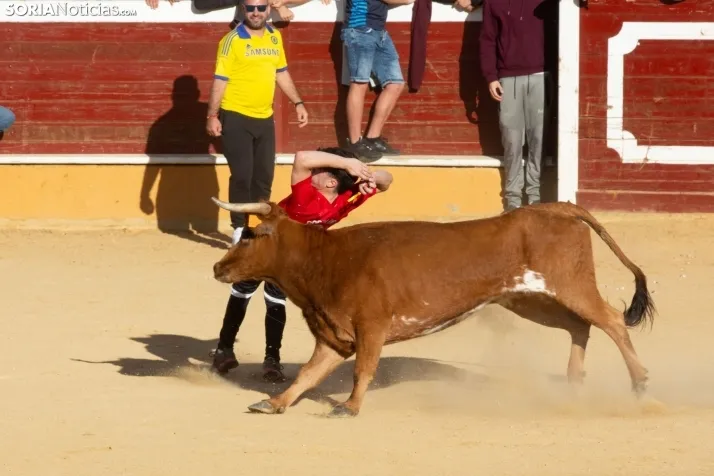 Vaquillas San Saturio