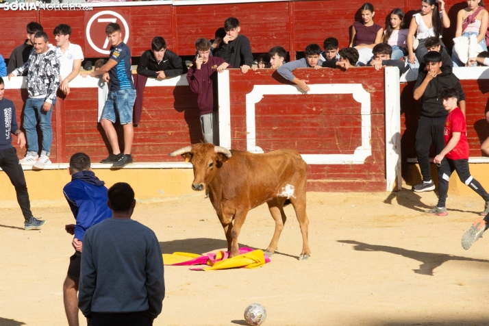 Vaquillas San Saturio