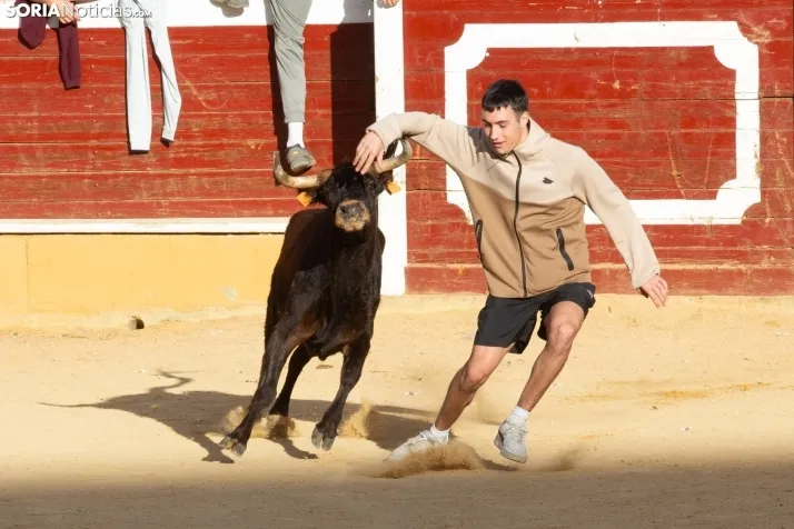 Vaquillas San Saturio