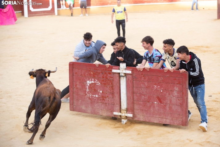 Vaquillas San Saturio