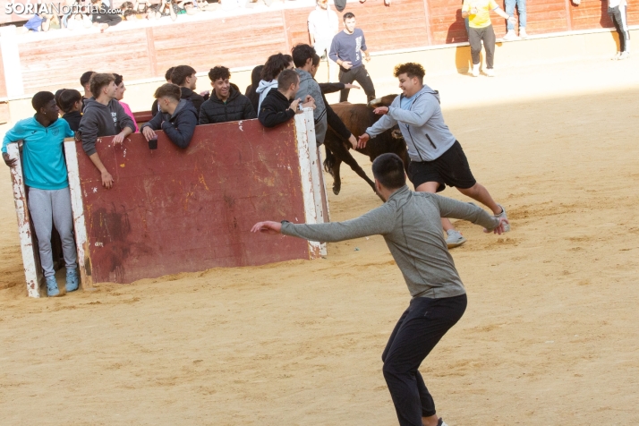 Vaquillas San Saturio