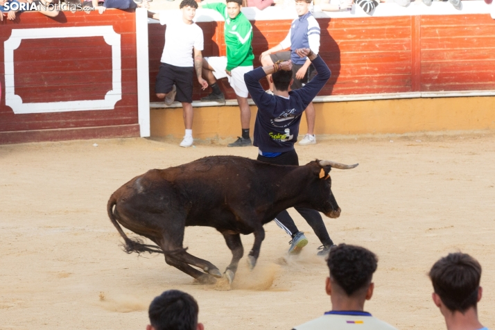 Vaquillas San Saturio