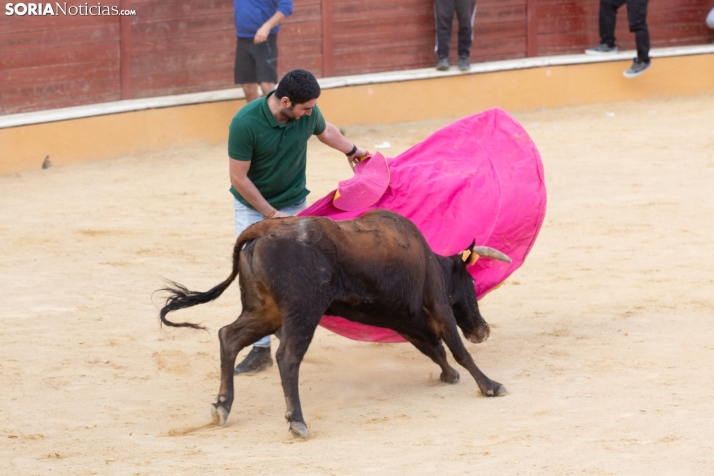 Vaquillas San Saturio