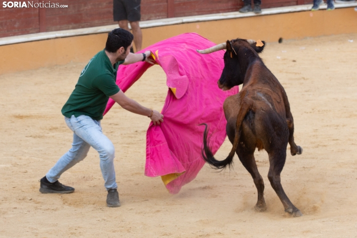 Vaquillas San Saturio
