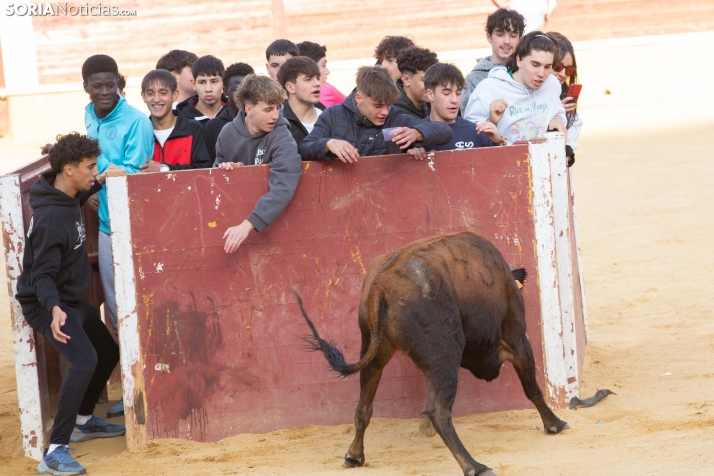 Vaquillas San Saturio