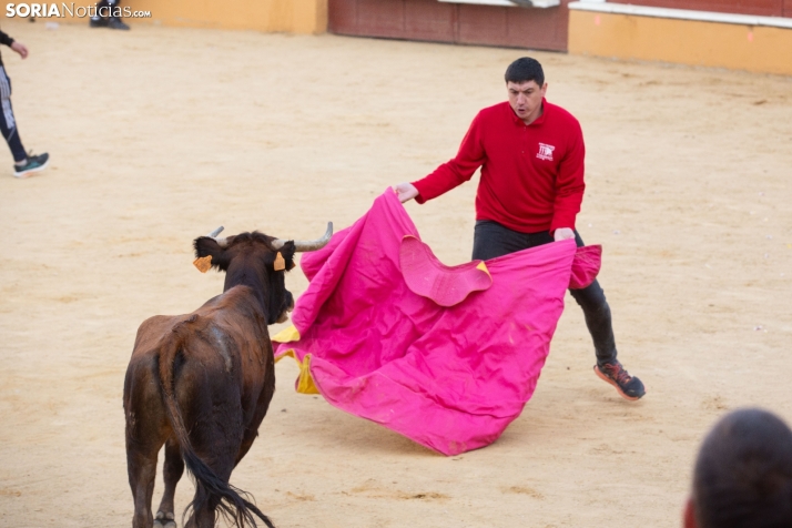 Vaquillas San Saturio