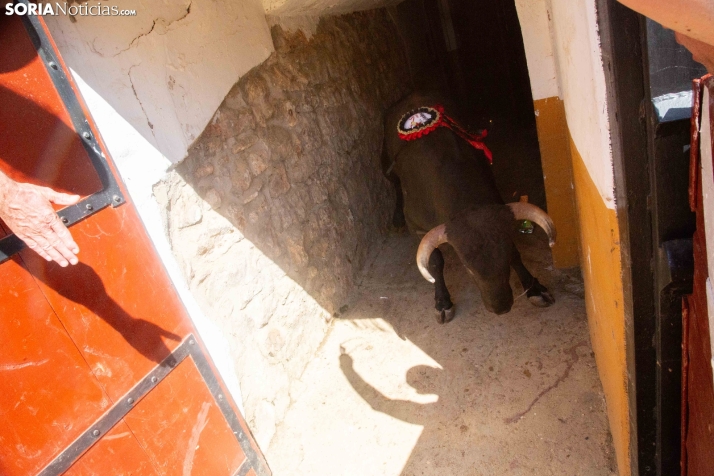 Viernes de Toros 2025 matinal plaza