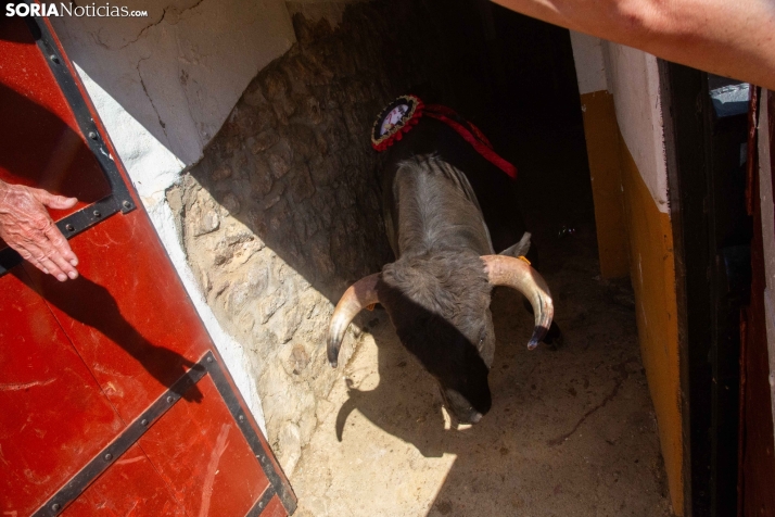 Viernes de Toros 2025 matinal plaza