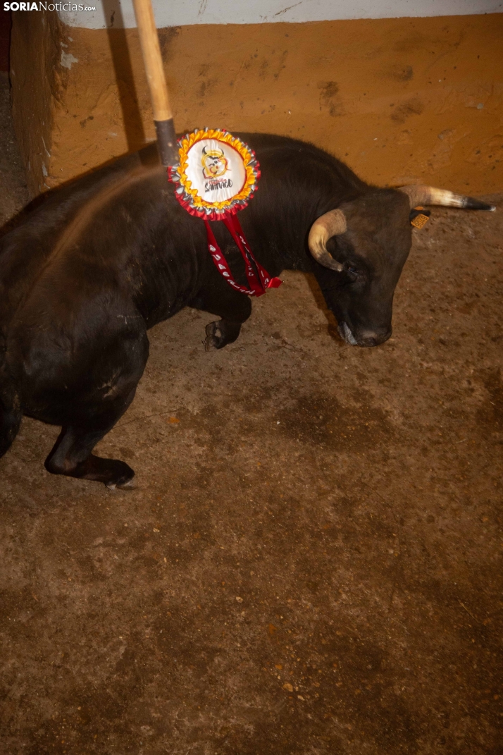 Viernes de Toros 2025 matinal plaza