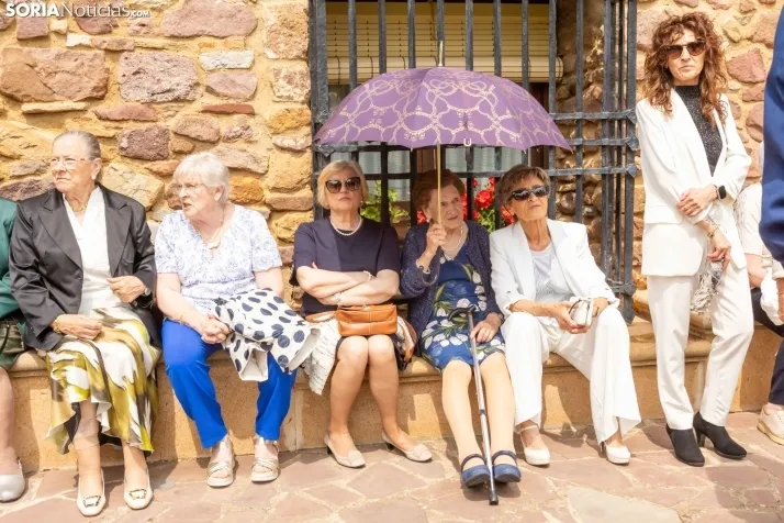 Virgen de Olmacedo 2025