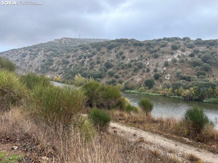 Ruta: Los márgenes del Duero y del Golmayo y la cueva de Zampoña