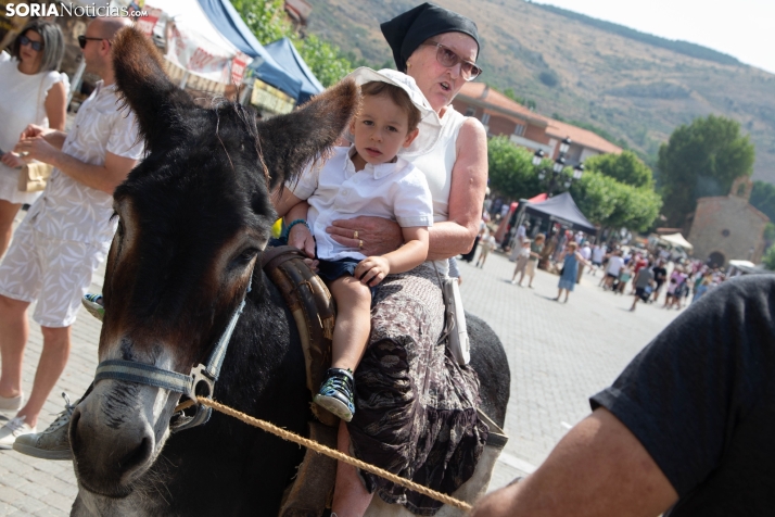 XXIV Mercado Tradicional de San Pedro