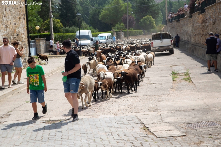 XXIV Mercado Tradicional de San Pedro