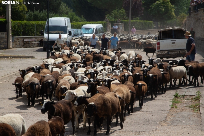 XXIV Mercado Tradicional de San Pedro