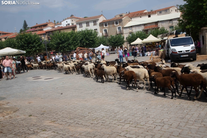 XXIV Mercado Tradicional de San Pedro