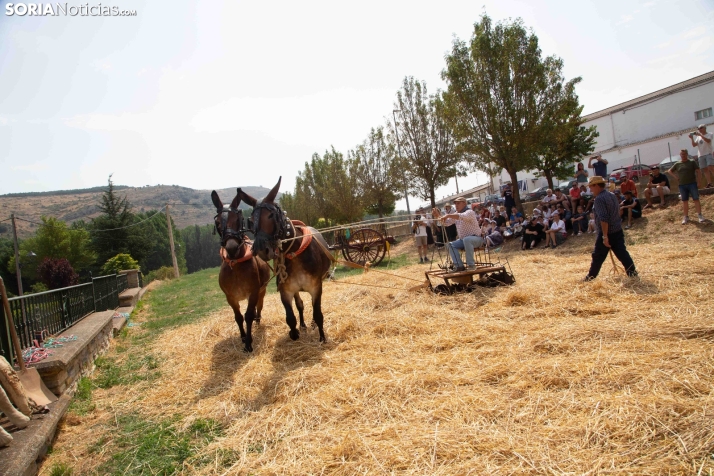 XXIV Mercado Tradicional de San Pedro