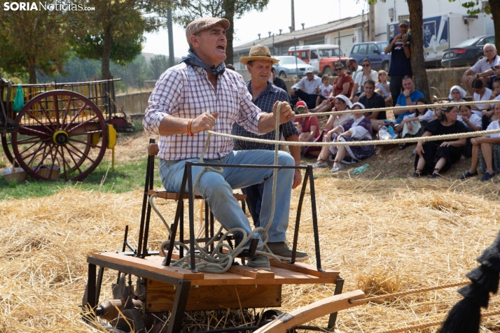 XXIV Mercado Tradicional de San Pedro