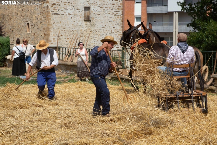 XXIV Mercado Tradicional de San Pedro