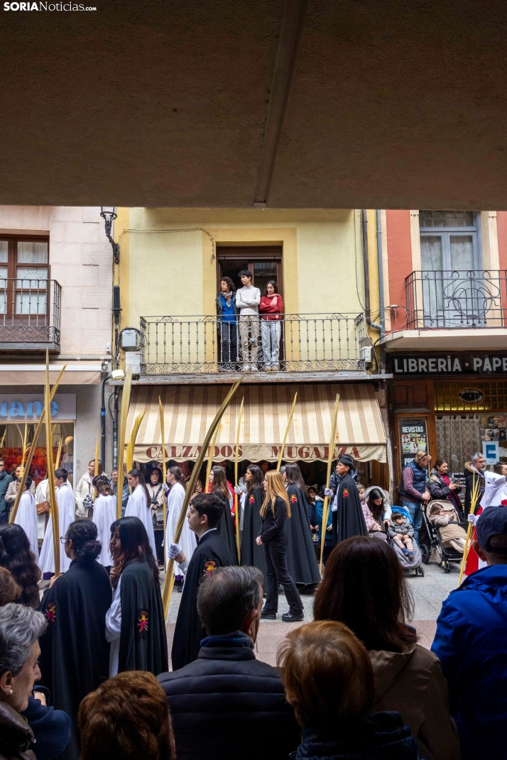 Entrada de Jesús en Jerusalén./ Viksar Fotografía